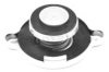 CALORSTAT by Vernet RC0065 Radiator Cap